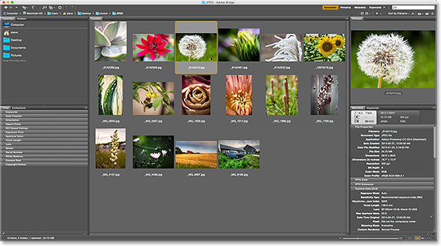 Choosing the Browse in Bridge command from under the File menu in Photoshop.