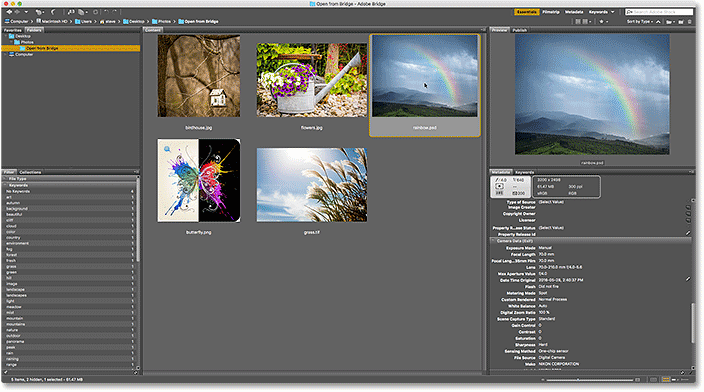 Selecting the next image in Bridge.