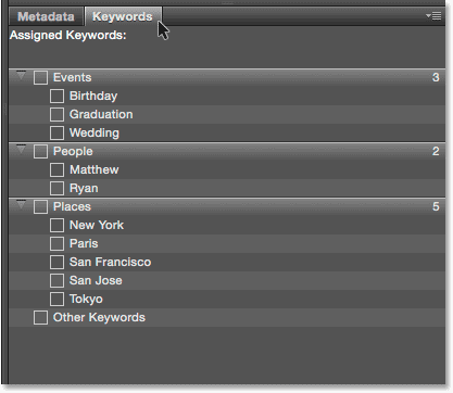 The Keywords panel in Adobe Bridge CC. Image © 2015 Photoshop Essentials.com