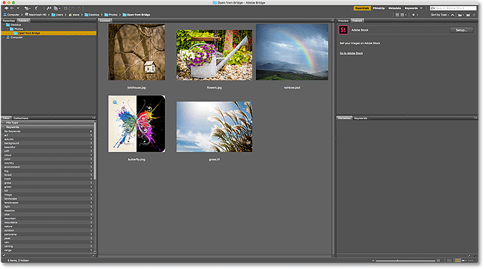 The Content panel now displaying larger thumbnails.
