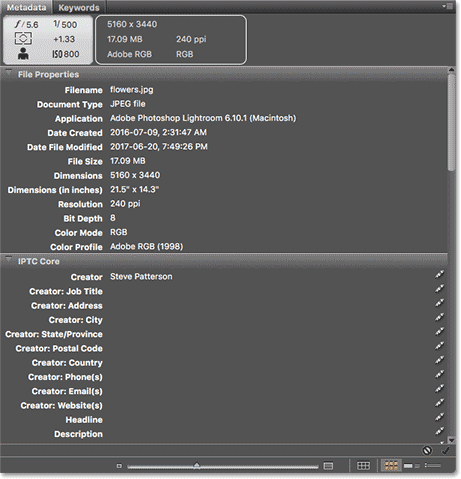 The Metadata panel in Adobe Bridge.
