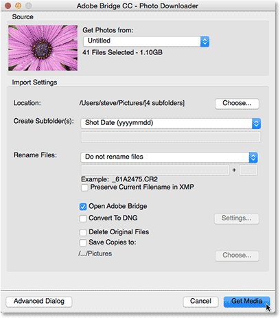 The Adobe Photo Downloader in Bridge. Image © 2015 Photoshop Essentials.com