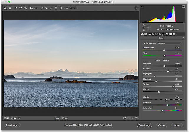 The Adobe Camera Raw plugin. 