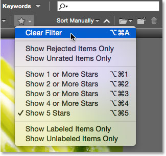 Clearing the filter in Bridge. Image © 2015 Photoshop Essentials.com