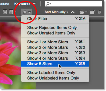Filtering images in the Content panel based on their star rating. Image © 2015 Photoshop Essentials.com