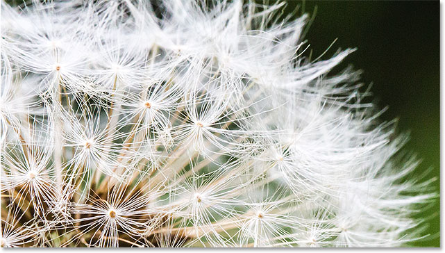 Inspecting the image in the 100 percent view mode. Image © 2015 Photoshop Essentials.com