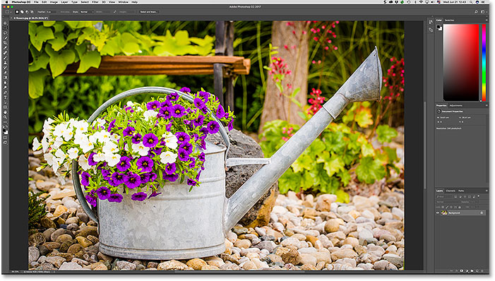 The selected image from Bridge opens in Photoshop.