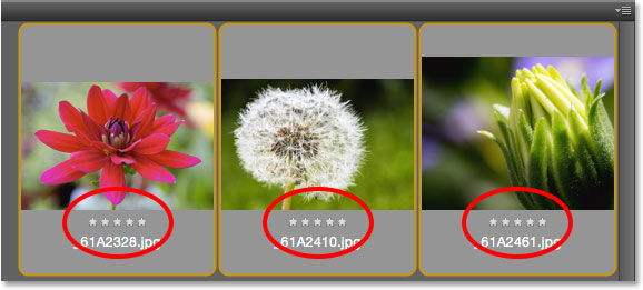 A five star rating appears below three of the thumbnails in the Content panel. Image © 2015 Photoshop Essentials.com