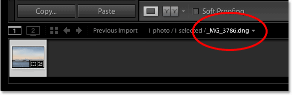 The name of the file in the Filmstrip in Lightroom CC. 