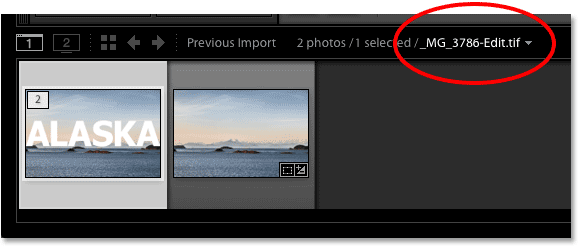 The new name and file type of the Photoshopped version of the image. 
