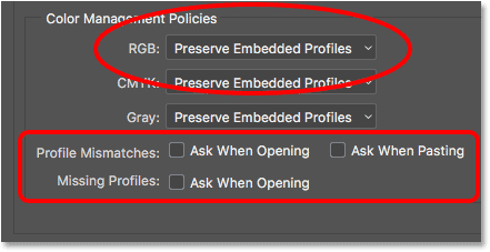 The Color Management Policies options.