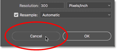Clicking the Cancel button in the Image Size dialog box.
