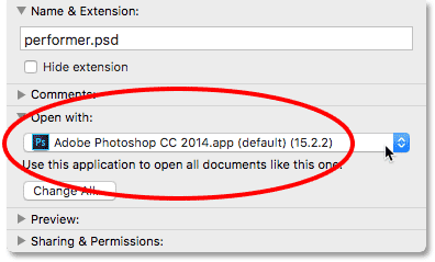 The Info dialog box showing an older version of Photoshop set to open PSD files.