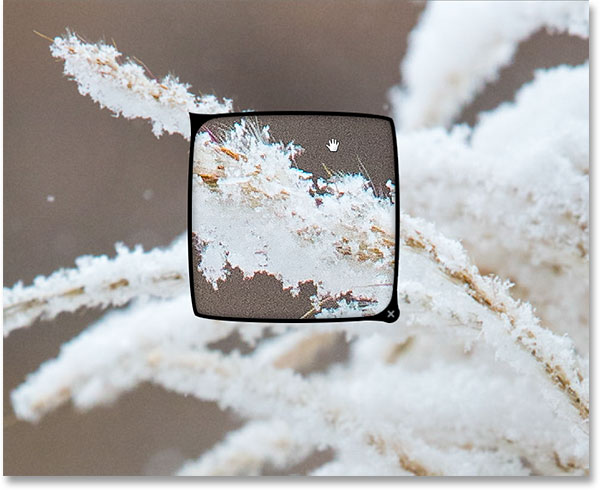 Using the Loupe to inspect part of an image at 100%. Image © 2015 Photoshop Essentials.com