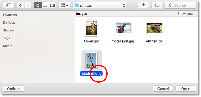 Opening a DNG raw file into Photoshop.