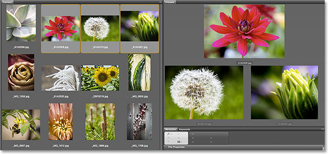 Inspecting the image in the 100 percent view mode. Image © 2015 Photoshop Essentials.com