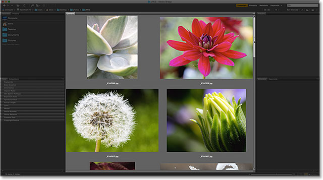 The thumbnails in the Content panel are now much larger. Image © 2015 Photoshop Essentials.com