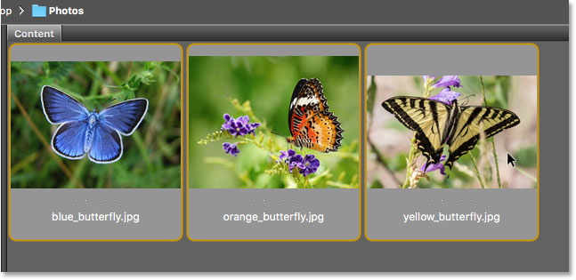 Selecting three images to open in Adobe Bridge.