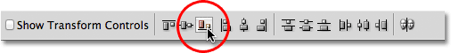 The Align Bottom Edges option in the Options Bar in Photoshop. 