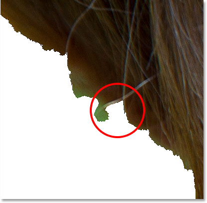 A small section of hair was accidentally removed. 