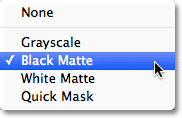 Choosing Black Matte from the Selection Preview option at the bottom of the Color Range dialog box. 