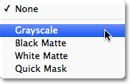 Choosing Grayscale from the Selection Preview option at the bottom of the Color Range dialog box. 