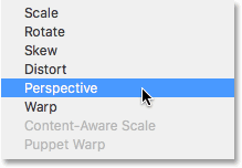Choosing the Perspective transformation mode. 