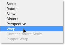 Choosing Warp from the transform mode menu.