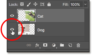 Turning off the Dog layer.