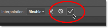 The Commit and Cancel buttons for Free Transform.