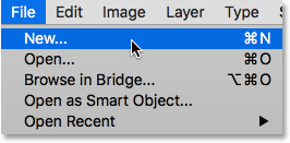 Selecting the New command from under the File menu. 