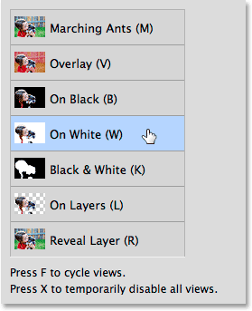 Clicking the View thumbnail in the Focus Area dialog box. 