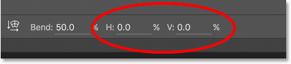 The horizontal and vertical distortion options for the warp style. 