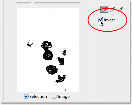 Selecting the Invert option in the Color Range dialog box. 