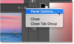 Opening the Navigator panel options