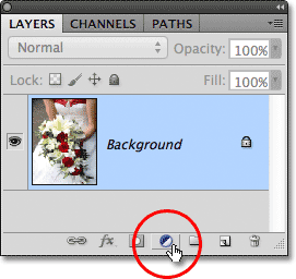 The New Adjustment Layer icon in the Layers panel. 