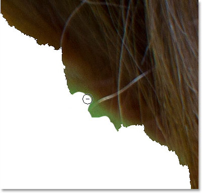 Painting over the unwanted area with the Focus Area Subtract Tool. 