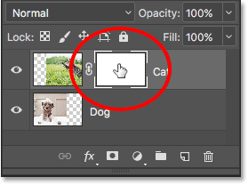 The highlight border around the thumbnail tells us that we have the layer mask selected.