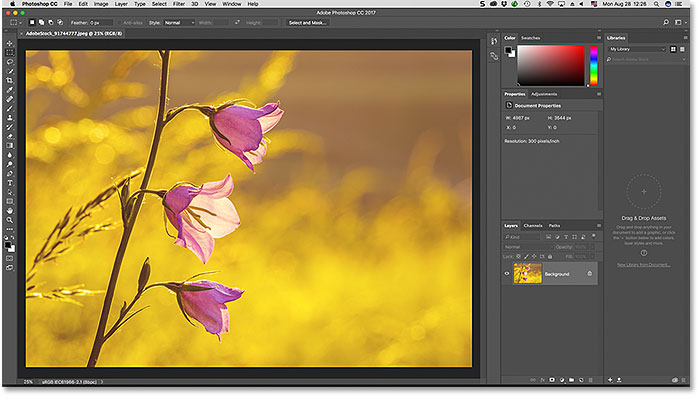 The default Essentials workspace in Photoshop. Image licensed by Adobe Stock.