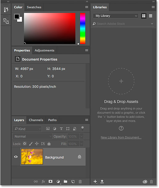 The panels included in Photoshop's default Essentials workspace.
