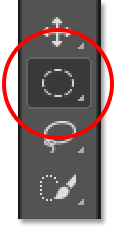 The Elliptical Marquee Tool is now the visible tool in the Toolbar.