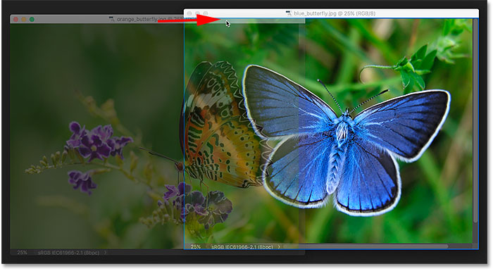 Docking two floating windows together in Photoshop.