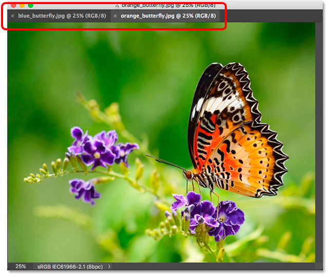 Two images docked together as tabs inside a floating window. Image © 2013 Photoshop Essentials.com