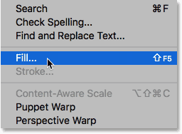 Selecting the Fill command from under the Edit menu.