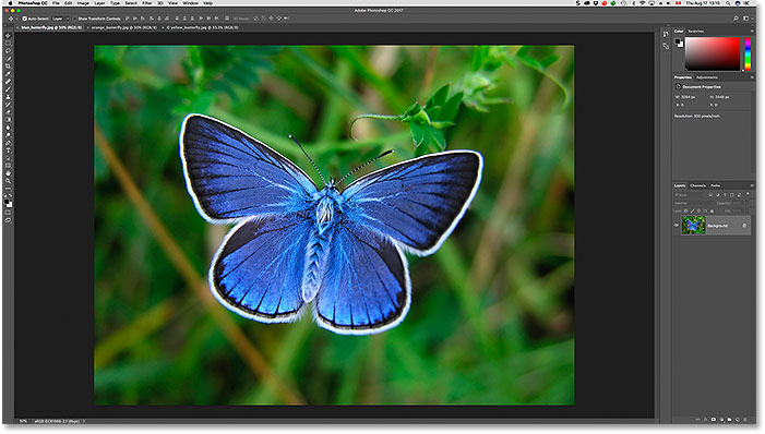 Viewing a different open image after clicking its tab in Photoshop. Image licensed from Adobe Stock
