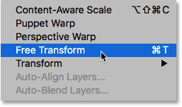 Selecting the Free Transform command from under the Edit menu.