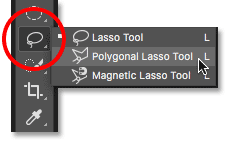 The Photoshop Toolbar showing the Lasso Tool, Polygonal Lasso Tool and Magnetic Lasso Tool.