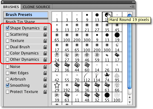 The Hard Round 19 pixels brush in Photoshop. 