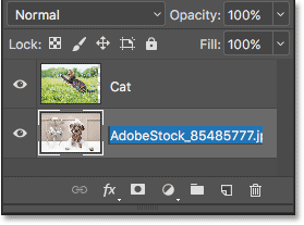 Pressing Tab to highlight the name of the layer below it.