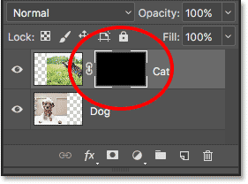 The Layers panel showing the mask thumbnail filled with black.